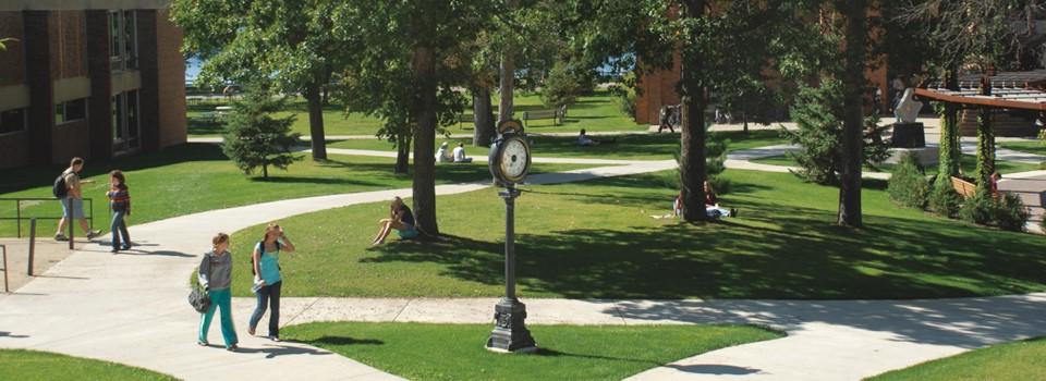 Students in a courtyard during the summer studying and walking